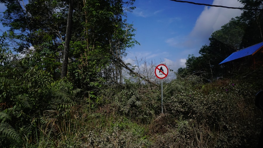 Photo Self-development