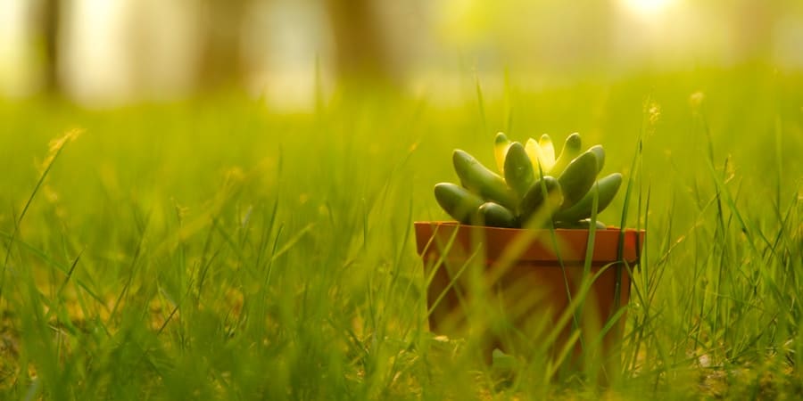 Photo "Sustainable Living: Smart Strategies for a Greener Life"