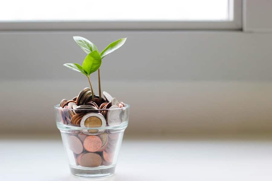 Photo Smart Financial Planning: Tips for a Carefree Future