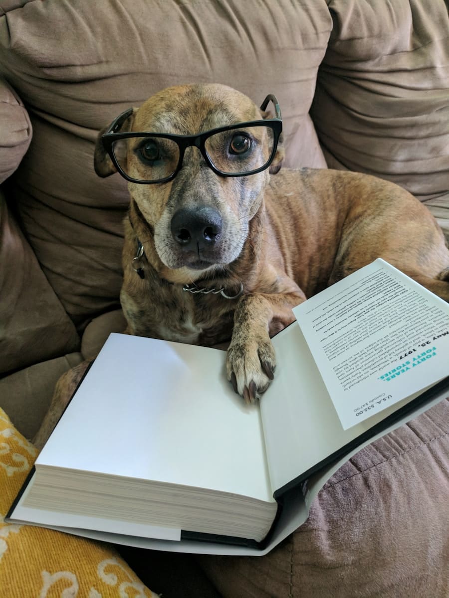 Photo "Smarter Learning: Tools and Techniques for Efficient Study"