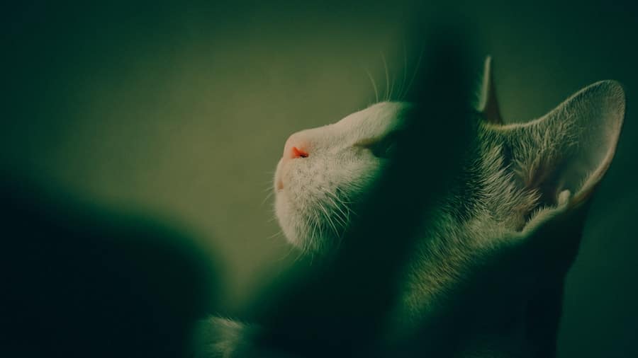 Photo Smart Relaxation: Techniques to Quickly Find Calm