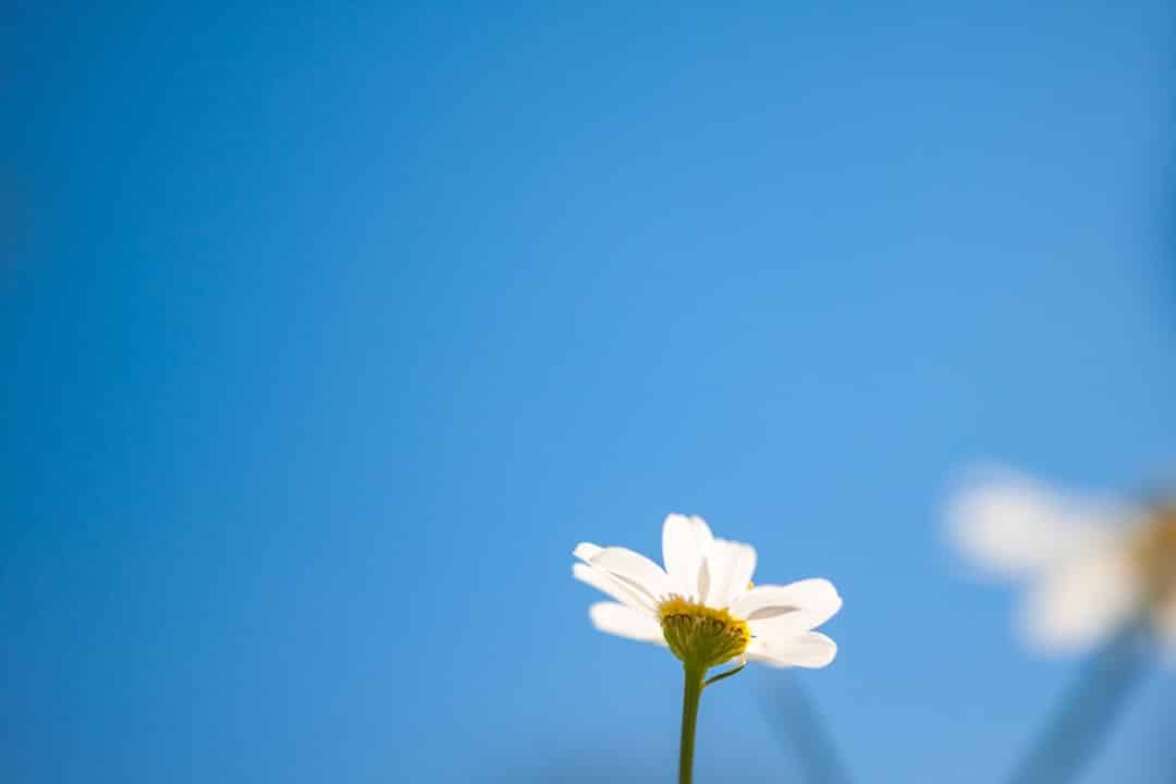 Photo simplicity